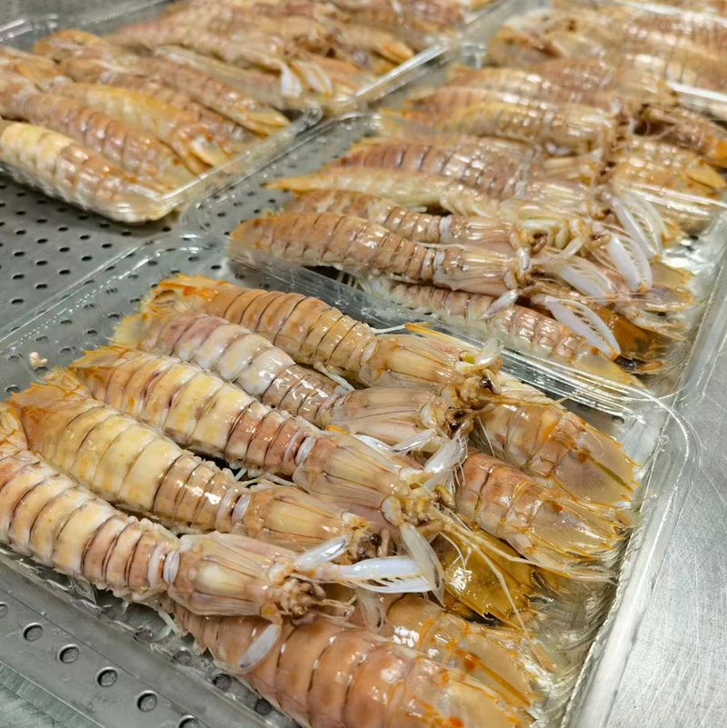 活煮熟冻皮皮虾赖尿虾虾菇富贵虾满肉质批发
