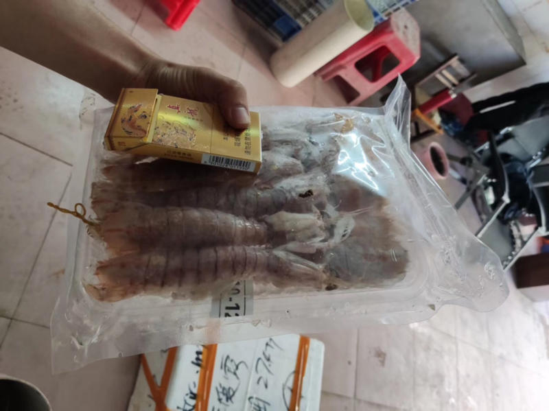 活煮熟冻皮皮虾赖尿虾虾菇富贵虾满肉质批发