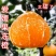 四川精品爱媛38号果冻橙，果面干净电商市场商超