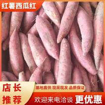 红薯西瓜红产地直发优质货源保质保量对接商超