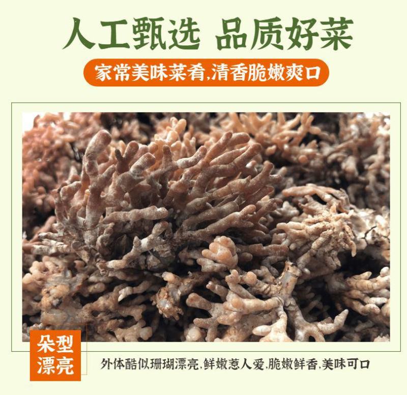 新鲜蔬菜新鲜龙爪菇猫爪菇老鼠爪火锅材料