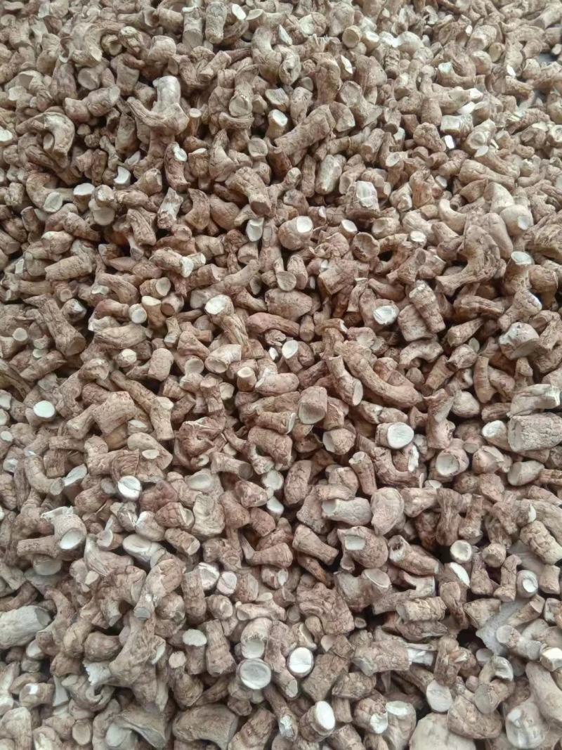 精品冬菇双剪香菇脚香菇腿全国各地食品厂酱厂调味品