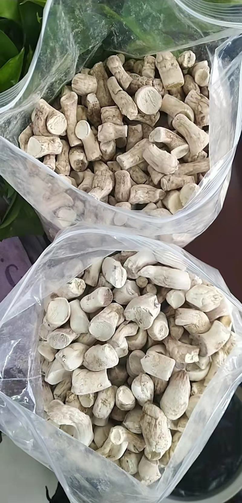 精品冬菇双剪香菇脚香菇腿全国各地食品厂酱厂调味品