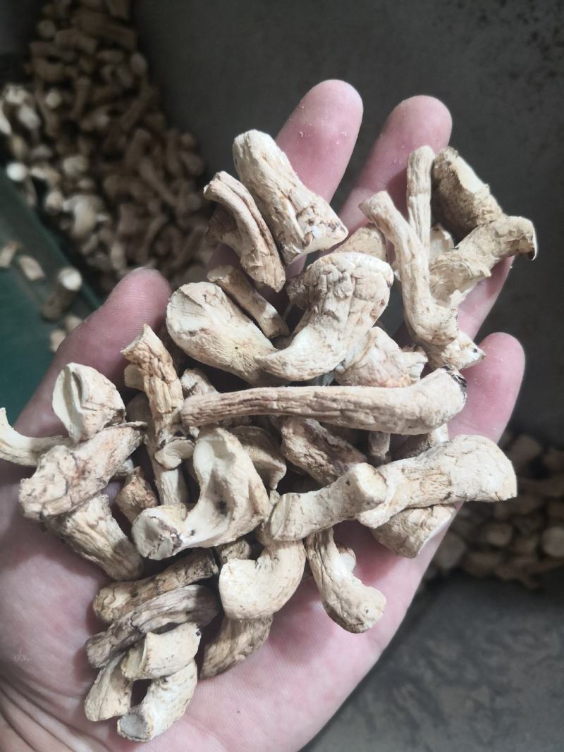 精品冬菇双剪香菇脚香菇腿全国各地食品厂酱厂调味品