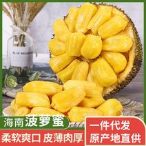 【招代理】海南黄肉菠萝蜜35-40斤支持各平台一件代发。