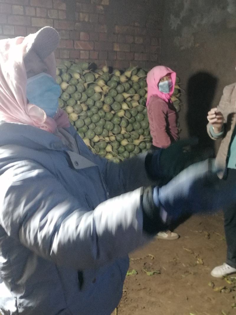 萝卜