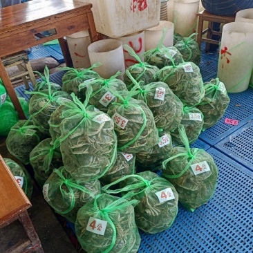 3两公