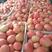 河南焦作精品硬粉西红柿大量有货供应，代发全国，