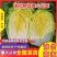 【精品】黄心白菜产地直供优质湖北大白菜质量保障