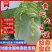 湖北白菜精品黄心白菜黄心产地直供价格便宜欢迎联系