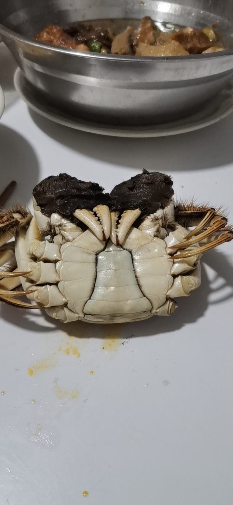 江苏省南京市高淳区，固城湖红膏大闸蟹，无黄，无膏包赔。