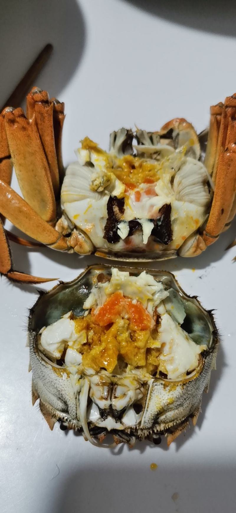 江苏省南京市高淳区，固城湖红膏大闸蟹，无黄，无膏包赔。
