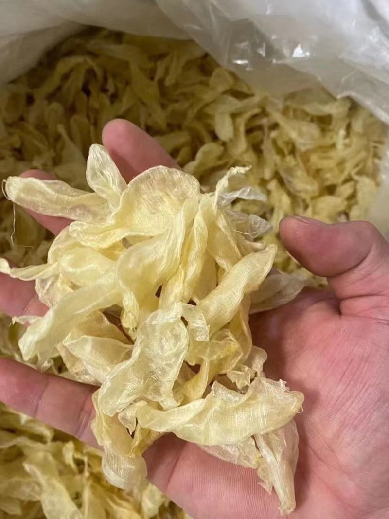 澳洲小白花胶鸡蛋胶佐罗胶肉厚好吃价格有优势一手货源