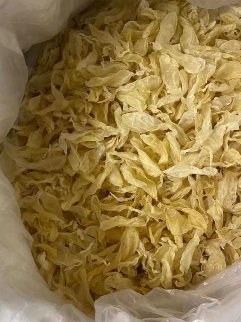 澳洲小白花胶鸡蛋胶佐罗胶肉厚好吃价格有优势一手货源