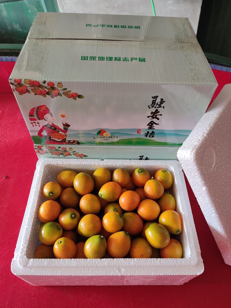 广西融安脆皮金橘脆嫩爽口纯甜多汁清香沁脾