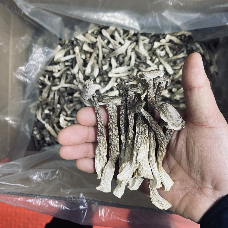 鹿茸菇如意情整车更优惠只卖新货
