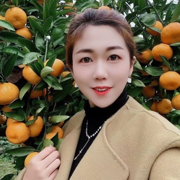 [优]蜜橘柑桔蜜桔宜昌蜜桔自家果园大量现货