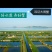 江苏省南京市高淳区，固城湖红膏大闸蟹，无黄，无膏包赔。
