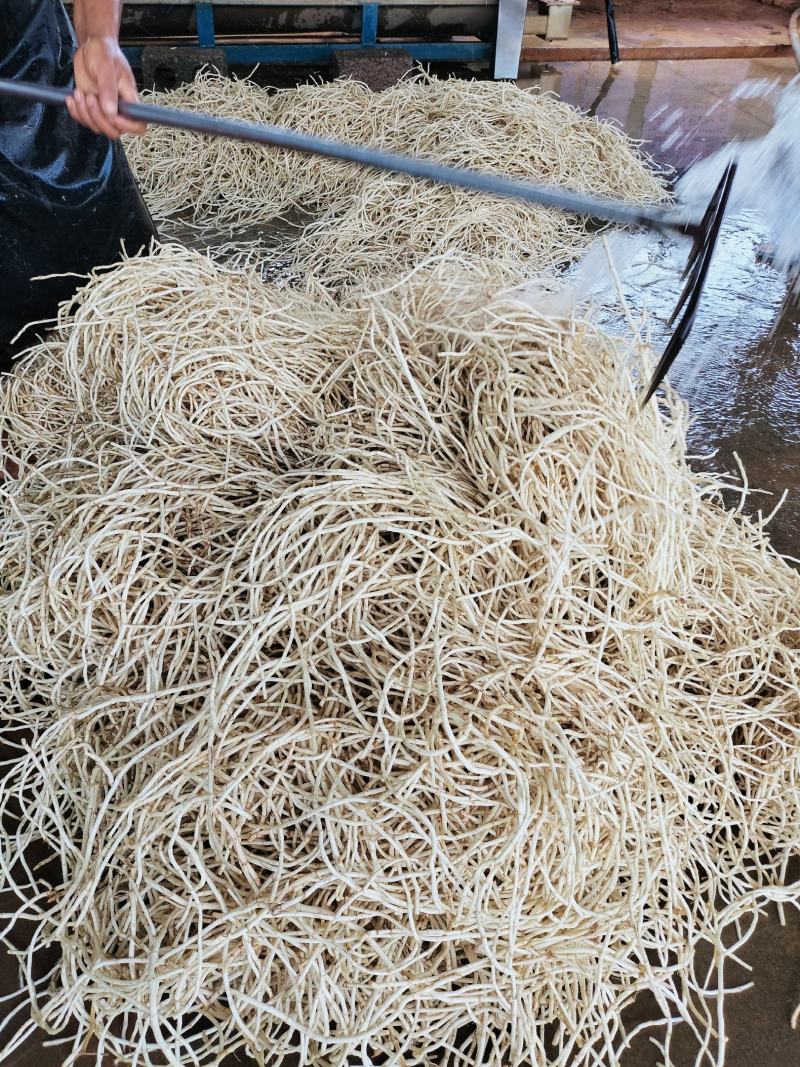 精品鱼腥草，欢迎订购