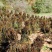 荏荏籽大量供货味道好口味香