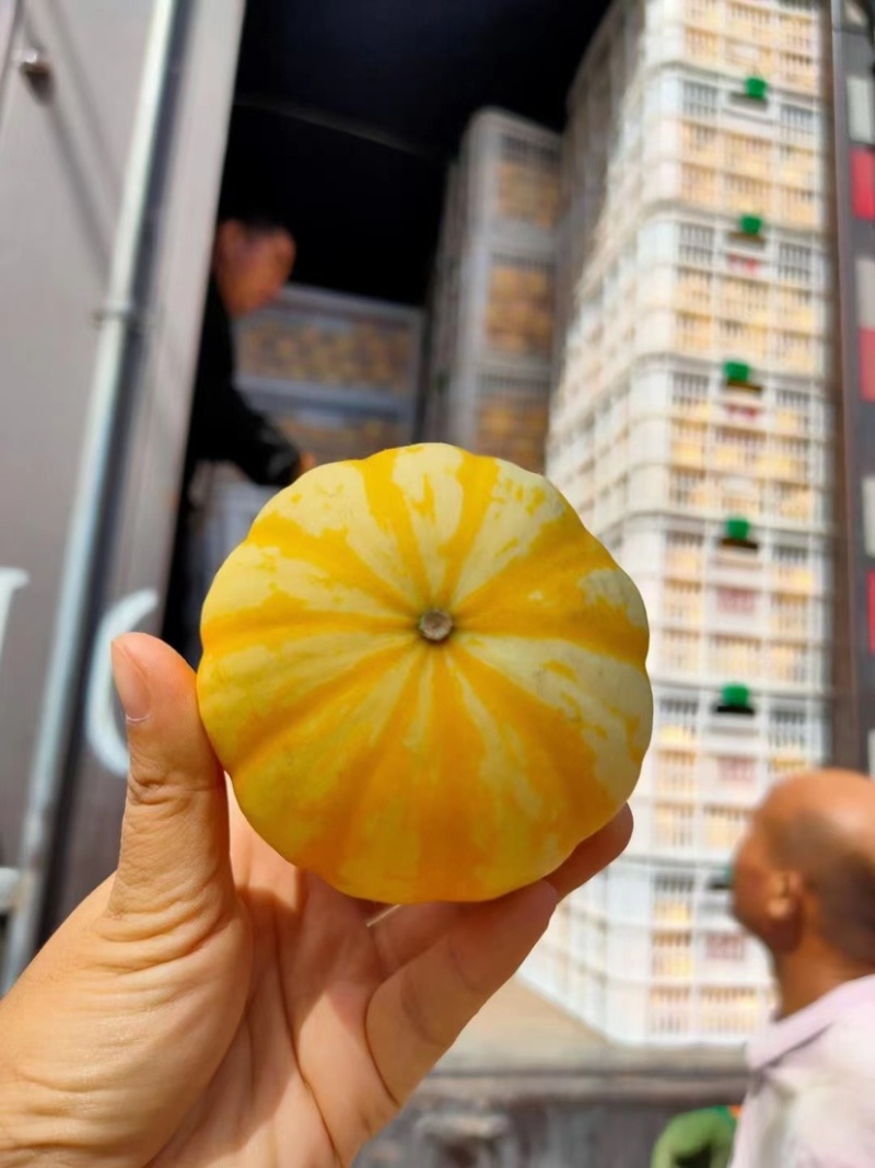 套菜礼盒