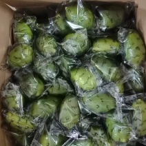子弹头香水柠檬