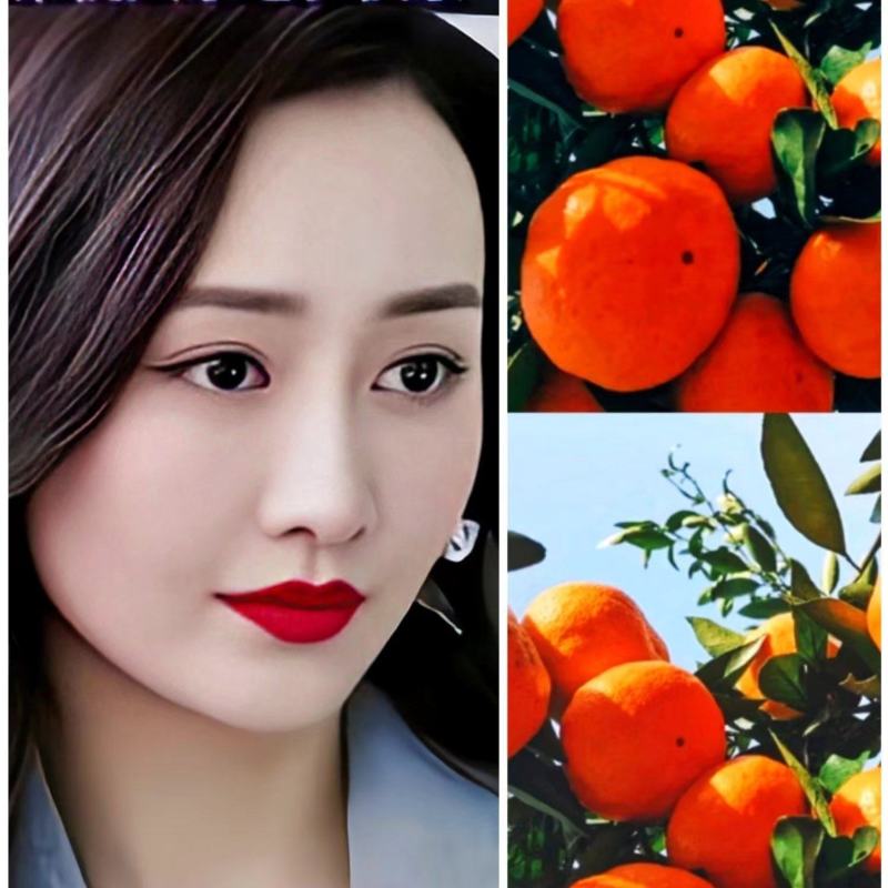 汉中柑橘特早蜜橘：产地直发全国发货色红光亮口感甜欢迎订购