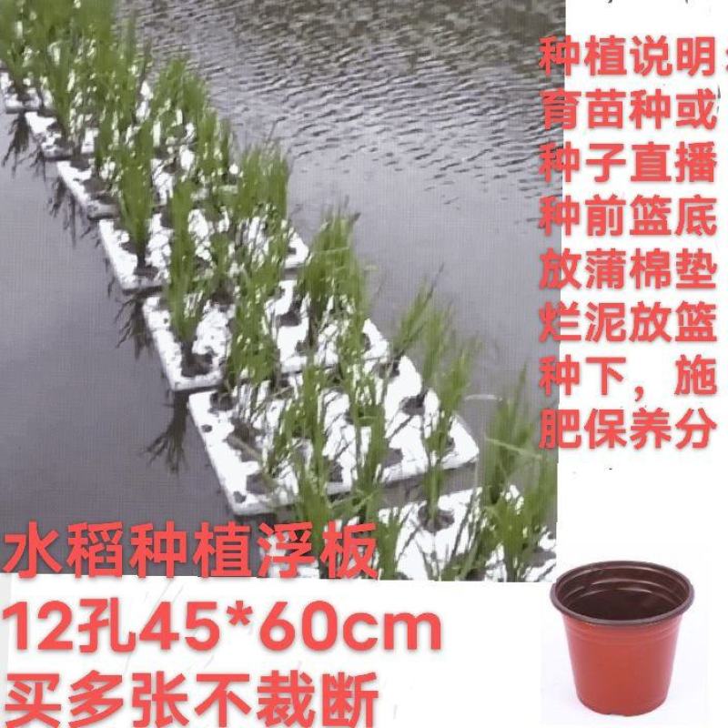 水稻种植板水库水面种菜漂浮板无土栽培坑塘种植鱼菜共生池塘