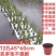 水稻种植板水库水面种菜漂浮板无土栽培坑塘种植鱼菜共生池塘