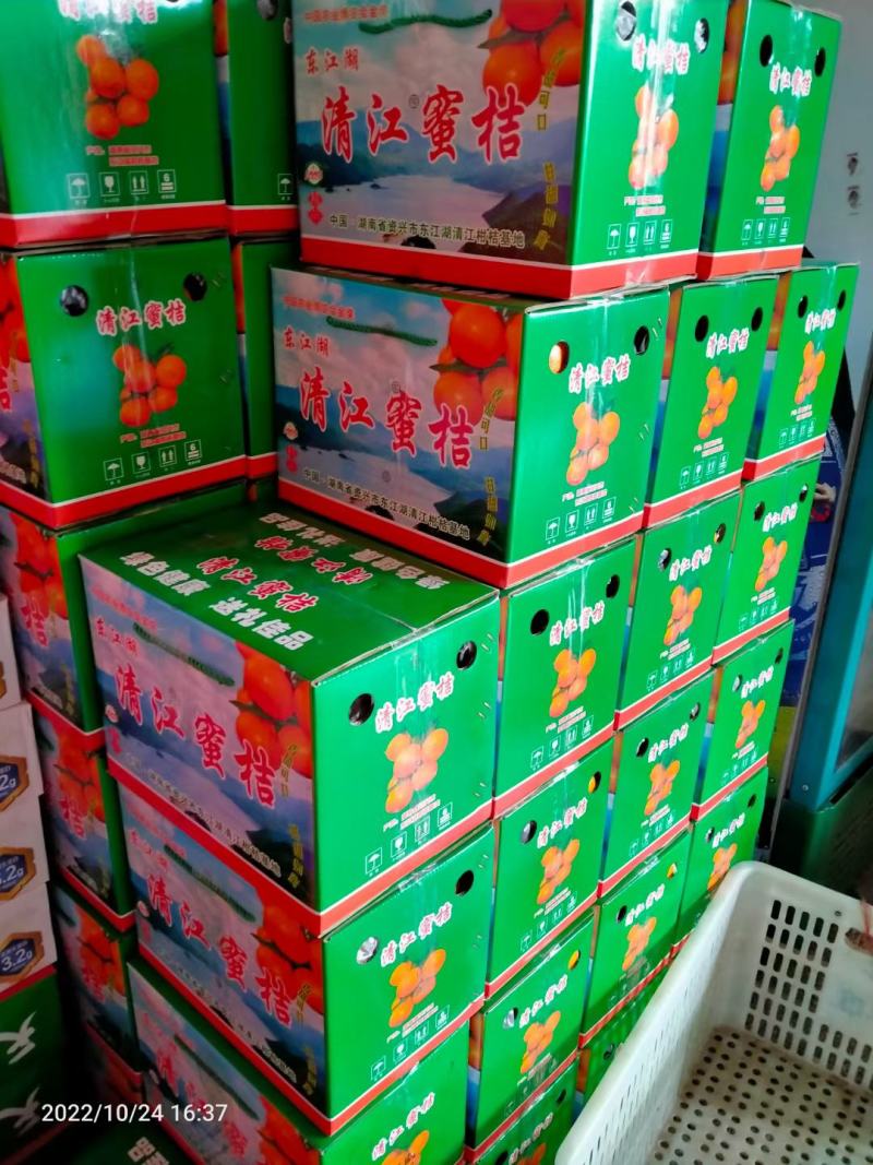 东江湖蜜桔售卖中