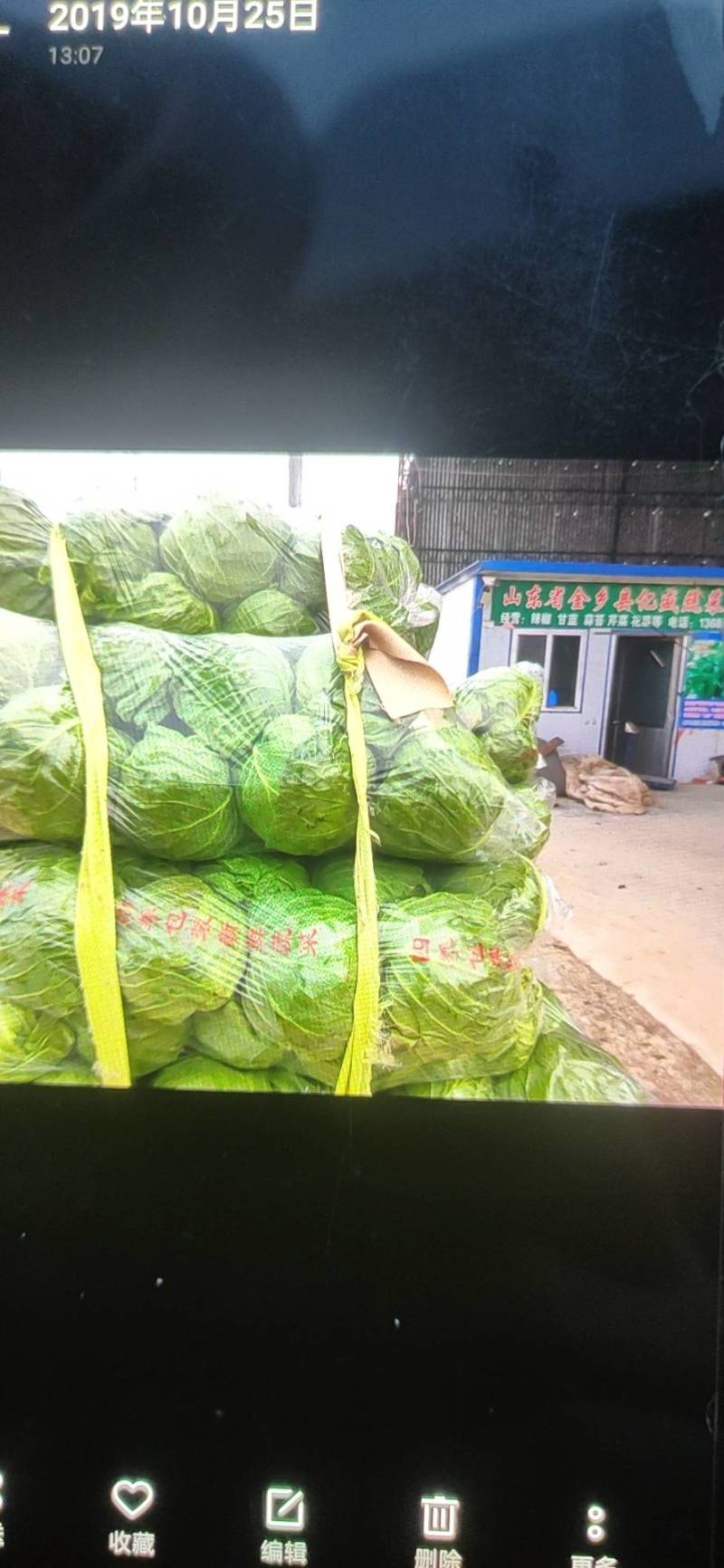 金乡甘蓝精品圆包菜货源充足价格实惠实力代发全国