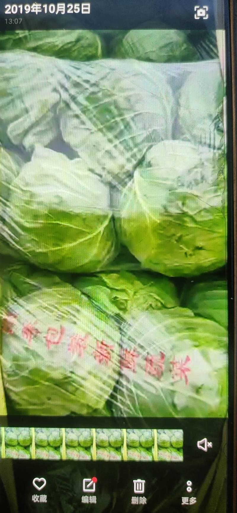 金乡甘蓝精品圆包菜货源充足价格实惠实力代发全国