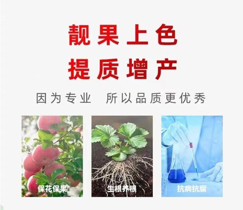 矿源黄腐酸钾（液体型）生根壮根强健花期生根壮秧保花果