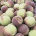 潍坊临朐嵩山蜜桃，一手货源，诚信代办。离核脆甜，欢迎各位