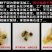 8成干）蛤蜊干750g蛤蜊肉干货花蛤干海鲜干货花甲肉干