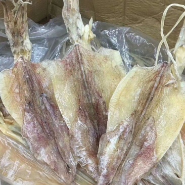 本地鱿鱼干一手货源视频看货以质论价欢迎联系