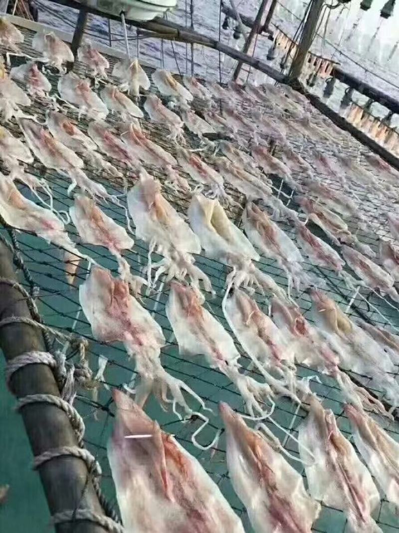 本地鱿鱼干一手货源视频看货以质论价欢迎联系