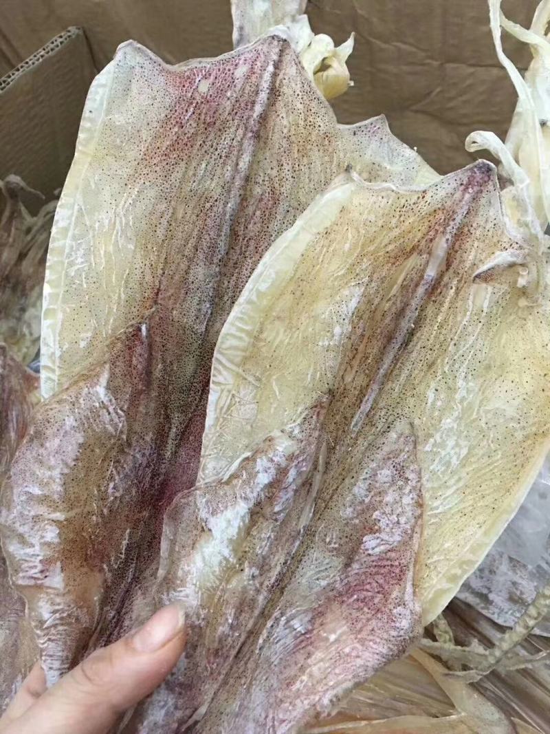 本地鱿鱼干一手货源视频看货以质论价欢迎联系