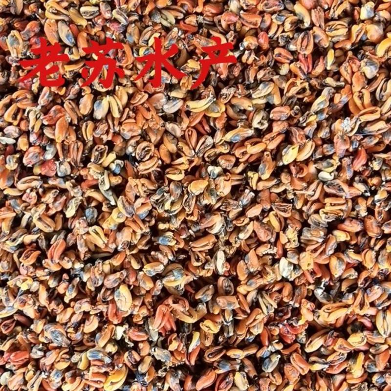 海虹干，淡菜干，规格齐全，当季新货，质量好，大量批发