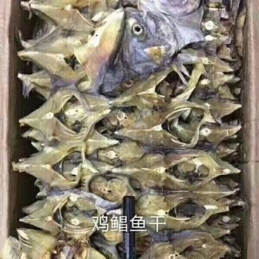 鸡鲳鱼干