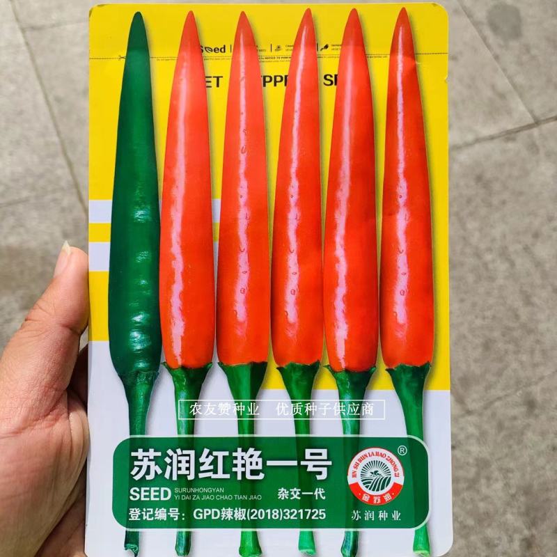 泰国引进杂交一代辣椒种子苏润红艳一号朝天椒种子大果型单生