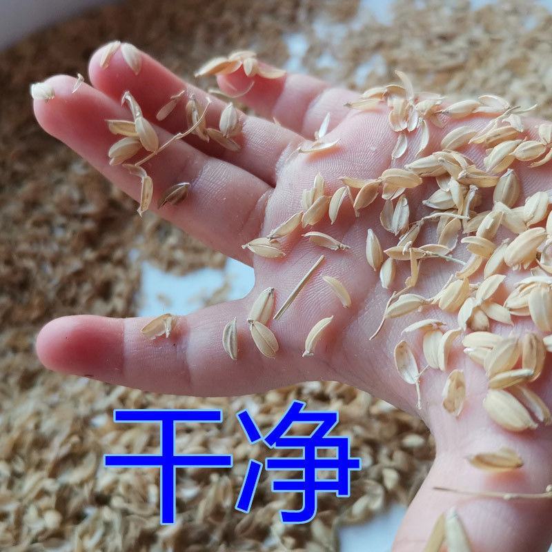 【协助装车】麸皮糠燕麦糠粉一手货源欢迎来电咨询