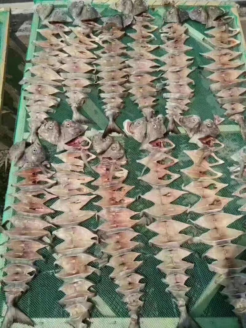 鸡鲳鱼干