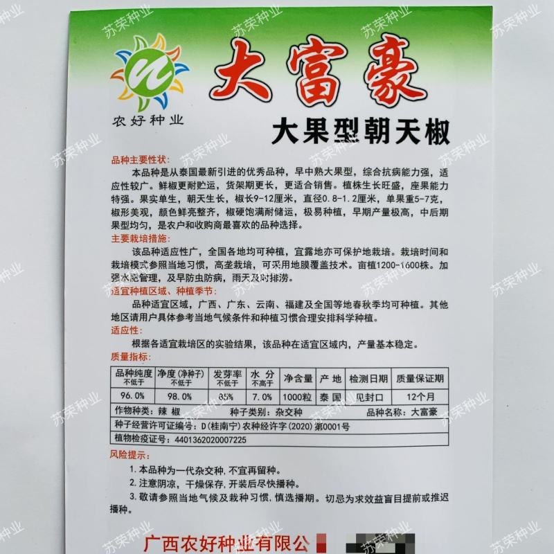 泰国进口大富豪大果型朝天椒种子中早熟高产抗病椒型美观