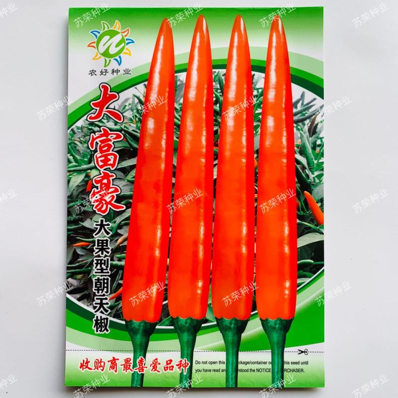 泰国进口大富豪大果型朝天椒种子中早熟高产抗病椒型美观