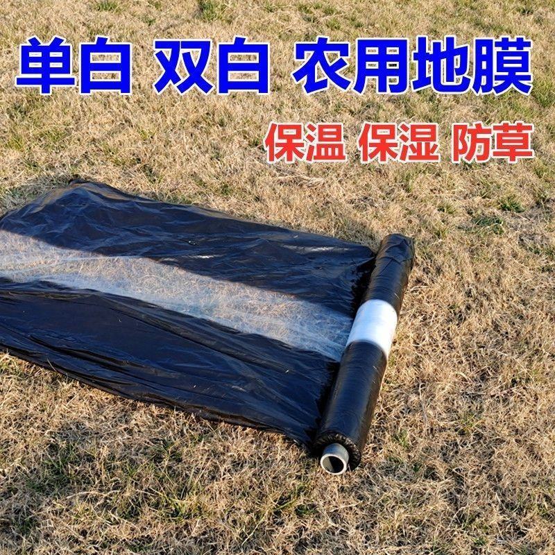 地膜黑色地膜黑白相间地膜银黑地膜白色地膜厂家供货