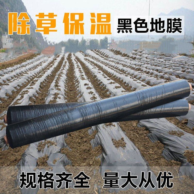 地膜黑色地膜黑白相间地膜银黑地膜白色地膜厂家供货