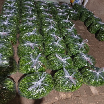万亩线椒大量供应中，长期有货，价格便宜，质量非常好，要的