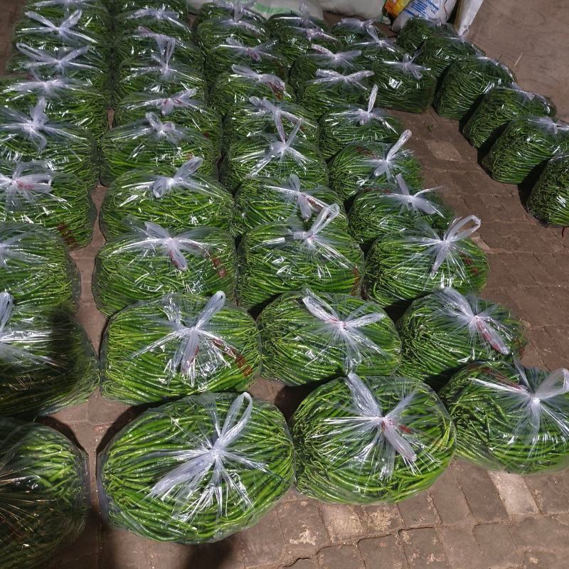 万亩线椒大量供应中，长期有货，价格便宜，质量非常好，要的