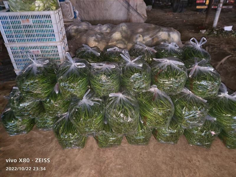 万亩线椒大量供应中，长期有货，价格便宜，质量非常好，要的